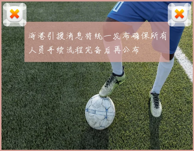 海港引援消息将统一发布确保所有人员手续流程完备后再公布