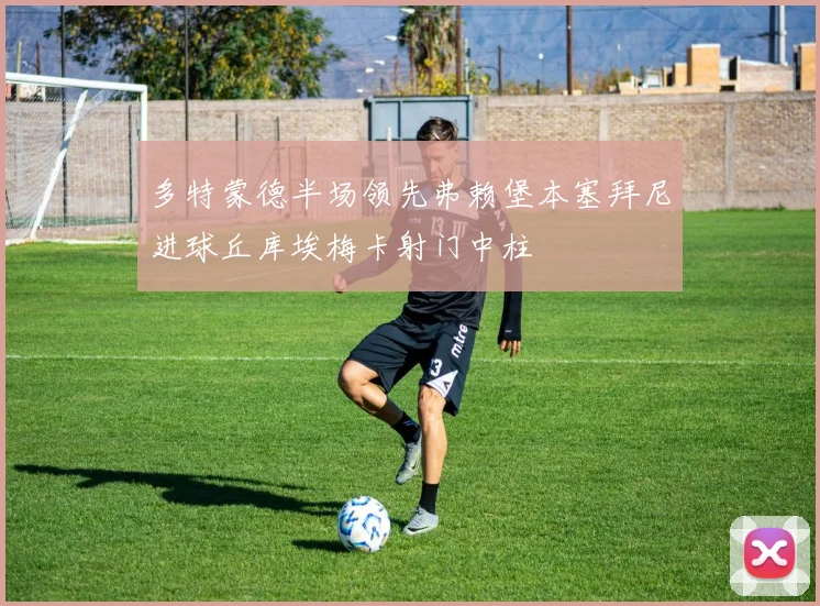 多特蒙德半场领先弗赖堡本塞拜尼进球丘库埃梅卡射门中柱